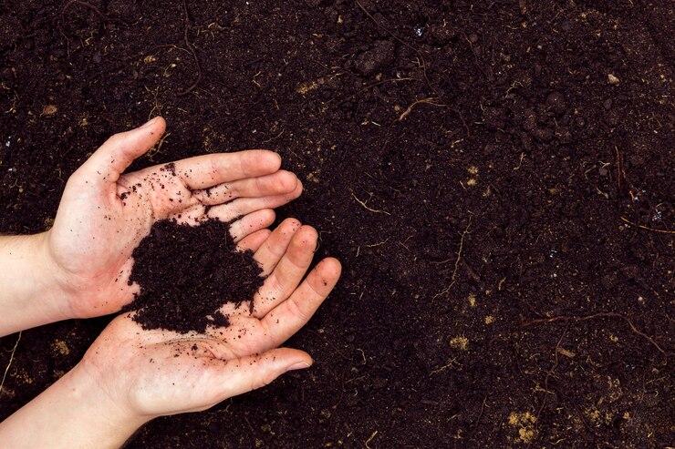 Tecnologias avançadas em remediação de solo: o futuro é agora