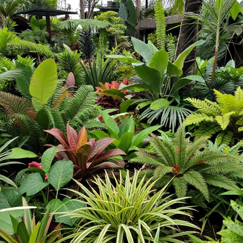 Recuperação de Áreas Degradadas: Essencial para a Preservação e Restauração do Planeta