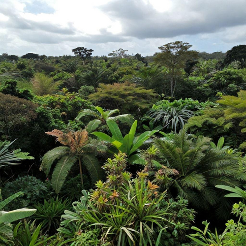 Recuperação de Áreas Degradadas: Técnicas Essenciais para Revitalizar Terras Comprometidas