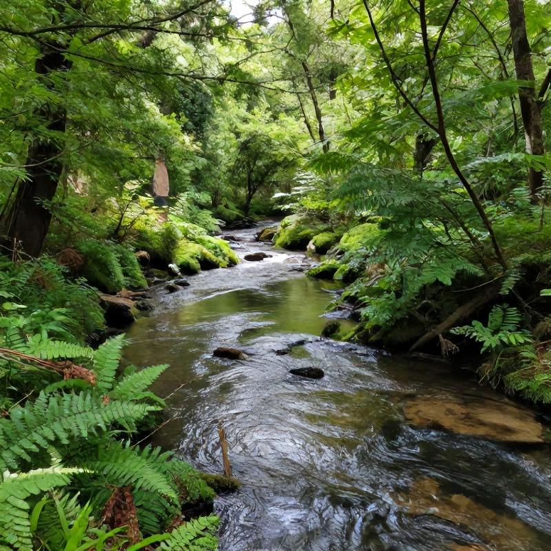 Biorremediação Ambiental: Transformando Contaminação em Solução